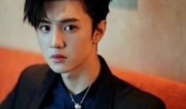 陈哲远娱乐圈爆料视频大全,揭秘明星幕后故事