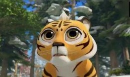 虎妞的爆料视频大全集免费观看,揭秘幕后真相，免费观看大揭秘