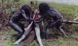 最新恐怖吃瓜爆料新闻报道,最新恐怖吃瓜爆料，揭秘幕后真相！