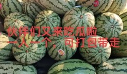 爆料吃瓜最新,吃瓜群众揭秘明星幕后真相